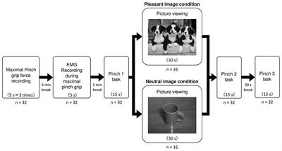 Influence of emotion on precision grip force control: A comparison of pleasant and neutral emotion